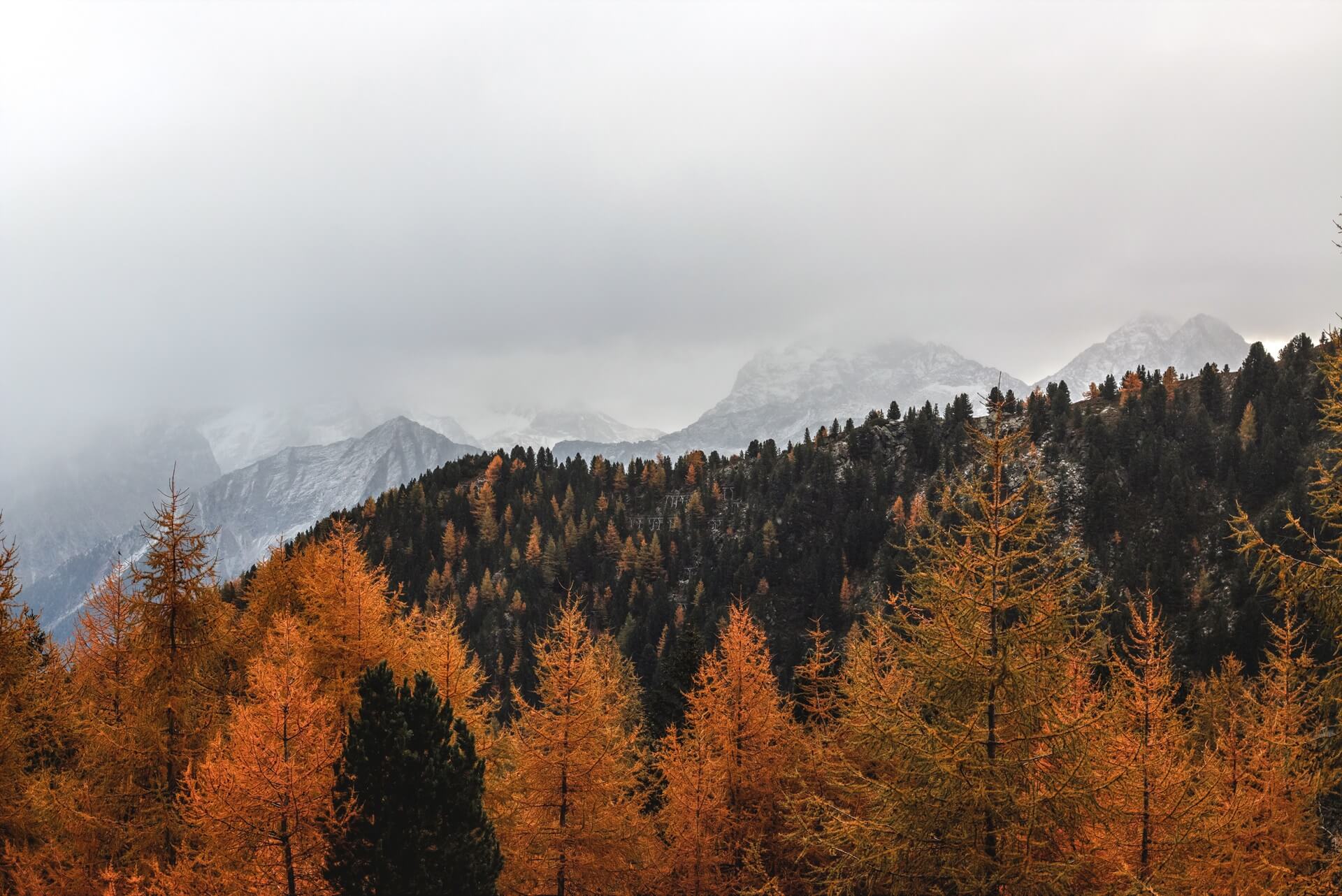 landscape-banner.jpg